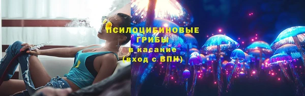 спиды Липки