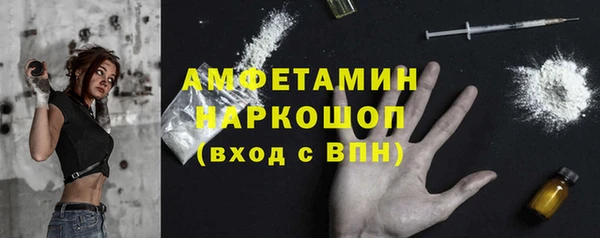молекула духа Магадан