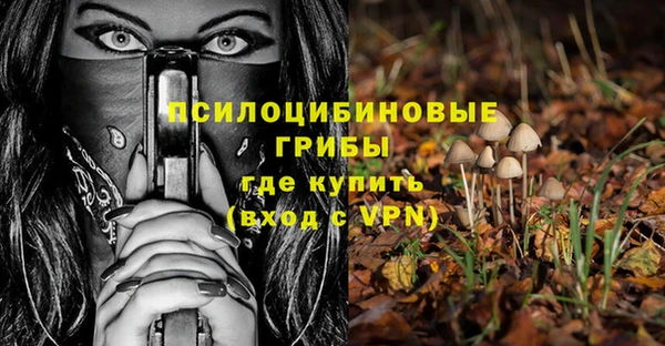 спиды Липки
