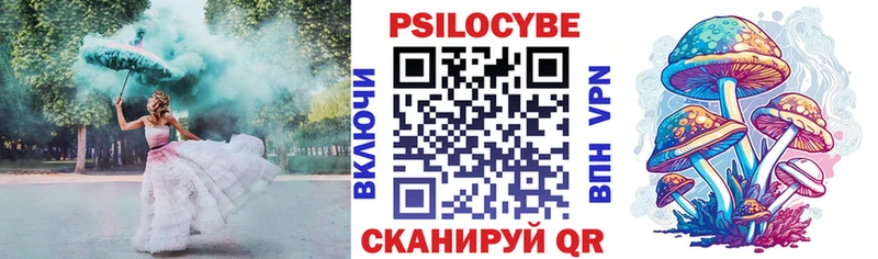 Псилоцибиновые грибы Psilocybe  Миллерово 